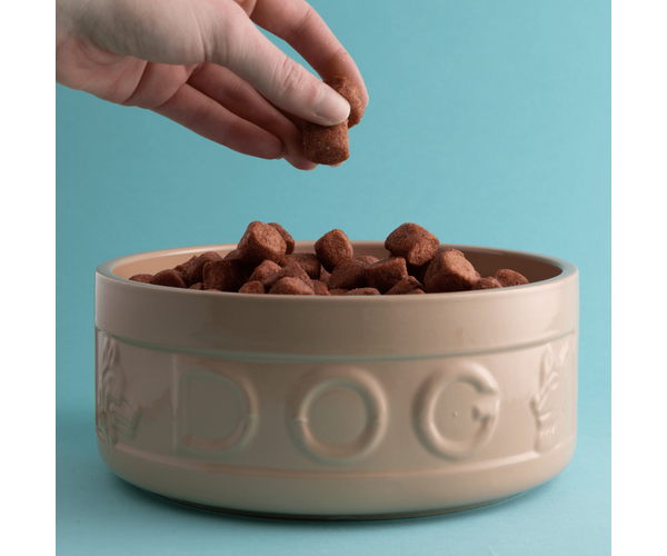 Cane Lettered Dog Bowl 20cm 2 - Glamjar Products Mason Cash Classic Heavy Duty Dog Bowl 20cm